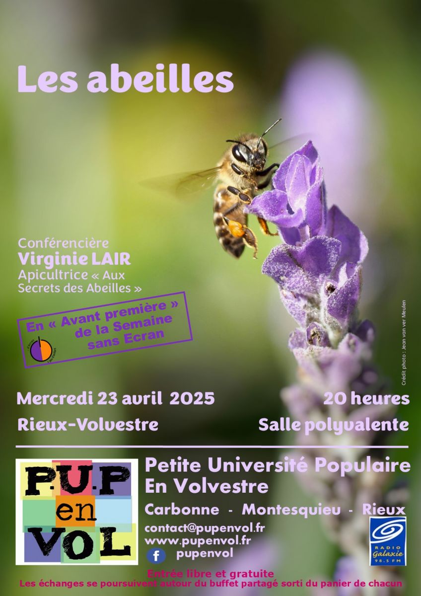 LES ABEILLES VIRGINIE LAIR APICULTRICE