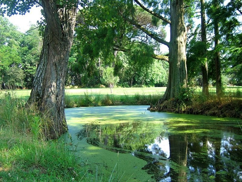 VISITE DU PARC DE LAUNAC