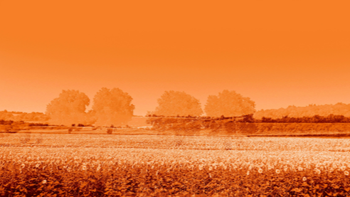 EXPO : PHOTOGRAPHIES DE SERGE GRÉLIN
