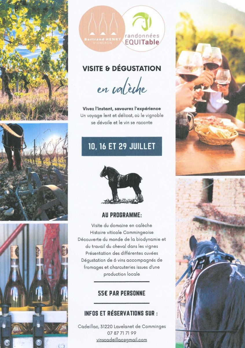 VISITE ET DÉGUSTATION EN CALÈCHE