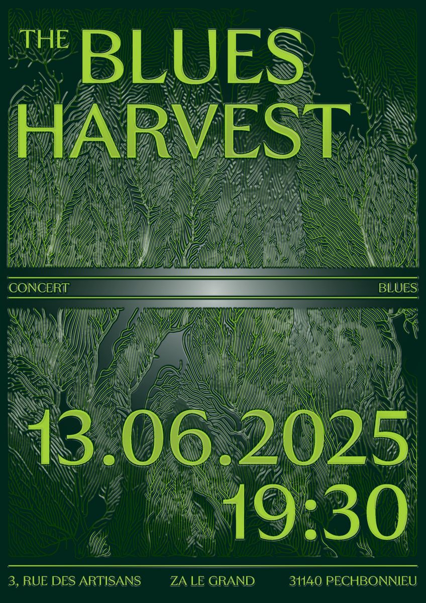 Concert de The Blues Harvest