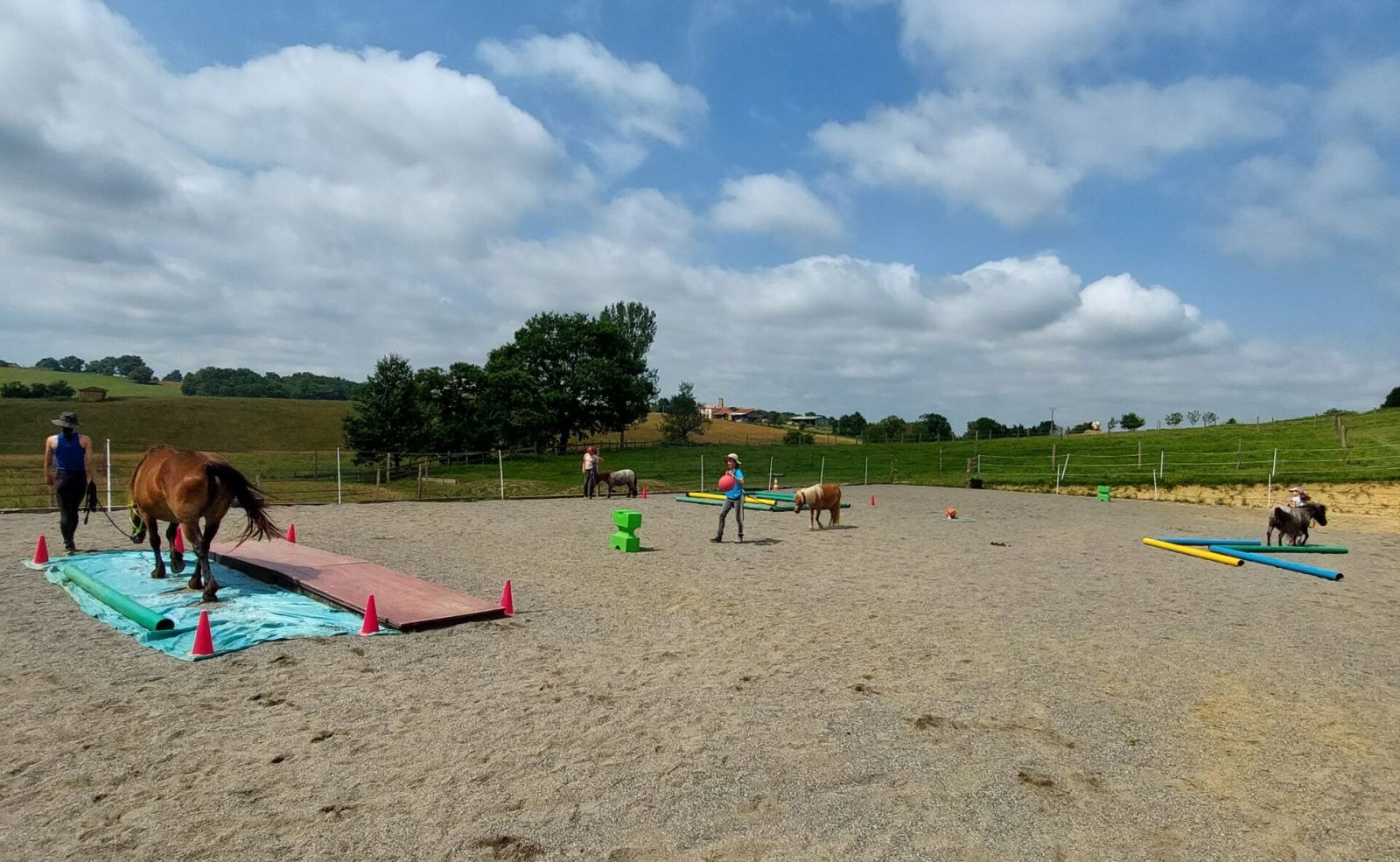 STAGE D'ÉQUITATION COLLECTIF