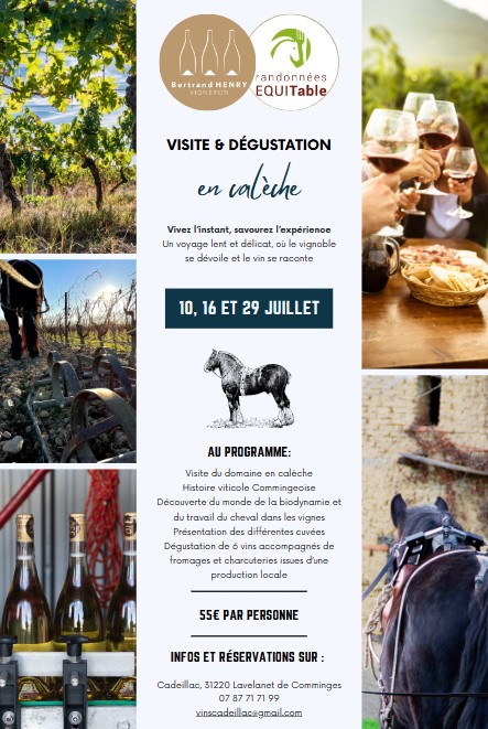 VISITE & DÉGUSTATION EN CALÈCHE