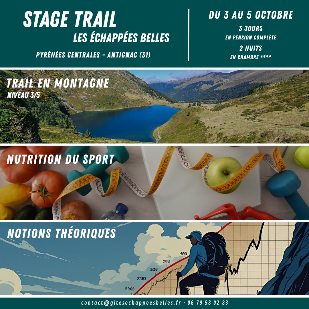 Stage Trail 3 jours 2 nuits - Niveau intermédiaire