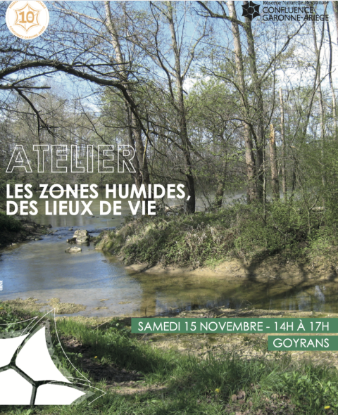 ATELIER : LES ZONES HUMIDES, DES LIEUX DE VIE.