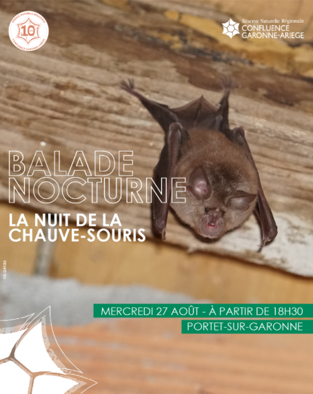 BALADE NOCTURNE: LA NUIT DES CHAUVE- SOURIS