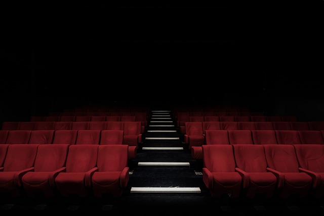 LA MÉDIATHÈQUE FAIT SON CINÉMA !