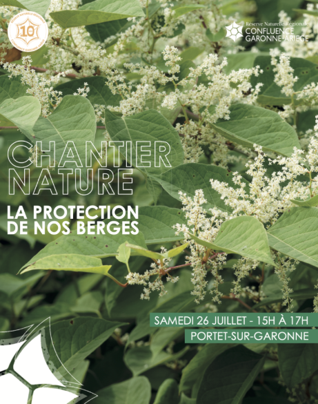 CHANTIER : LA PROTECTION DE NOS BERGES