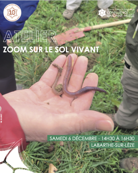 ATELIER : ZOOM SUR LE SOL VIVANT
