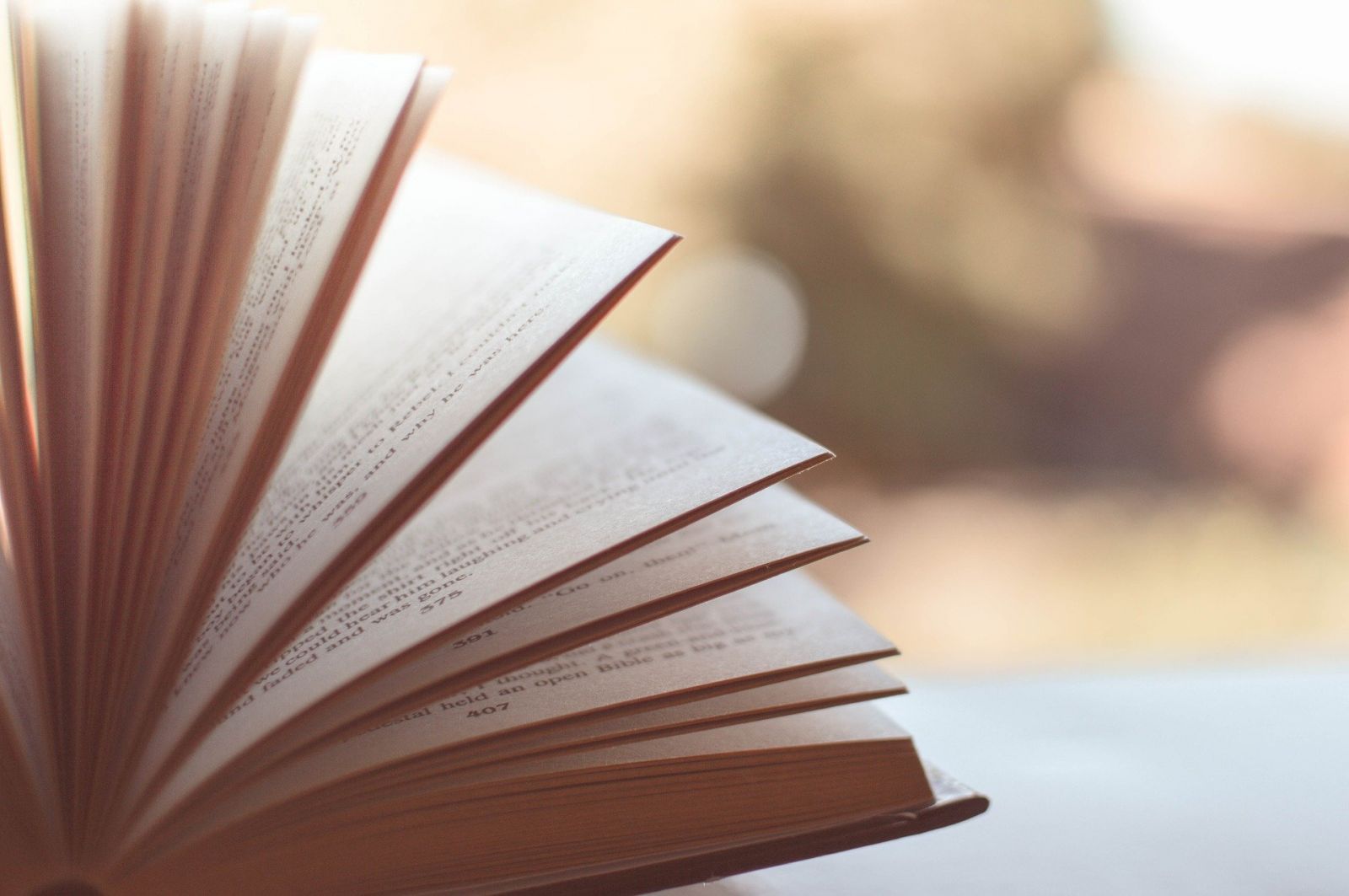 CLUB DE LECTURE