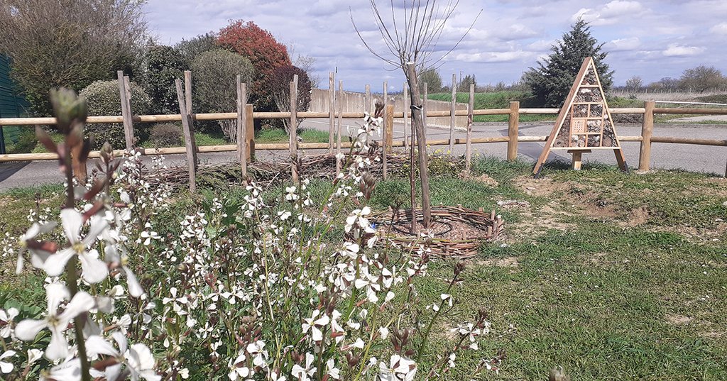 ATELIER "ADAPTER SON JARDIN, PLANTER LOCAL"