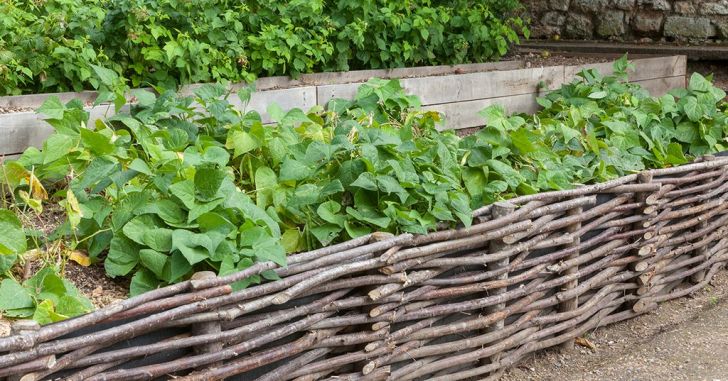 ATELIER "FABRIQUER SES BORDURES NATURELLES"