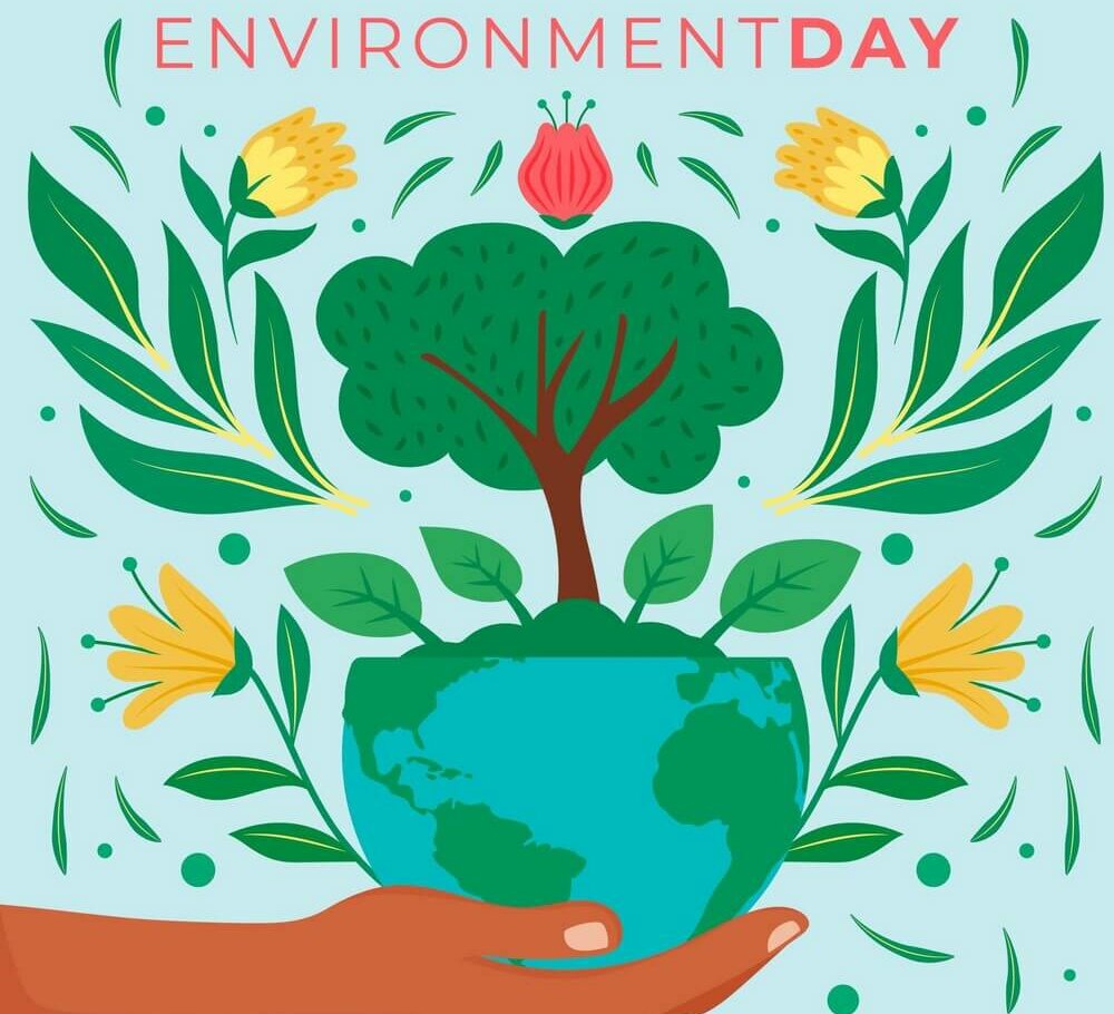MATINÉE DU DÉVELOPPEMENT DURABLE