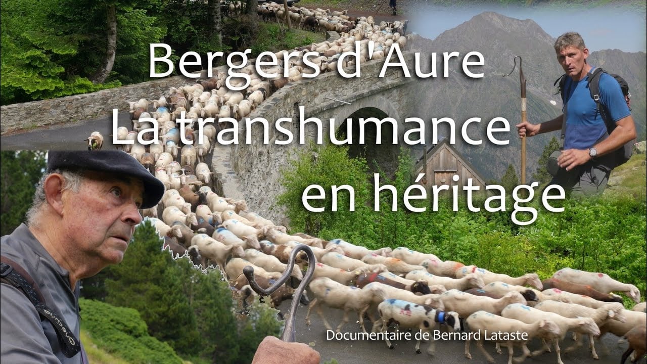 CINÉMA : SOIRÉE SPÉCIALE : BERGERS D'AURE, LA  ...