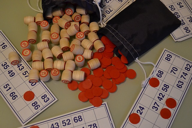 LOTO DE L'ÉCOLE ÉLÉMENTAIRE