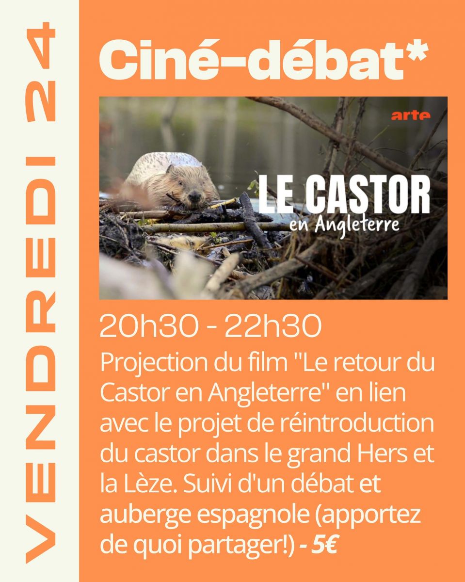 CINÉ-DÉBAT