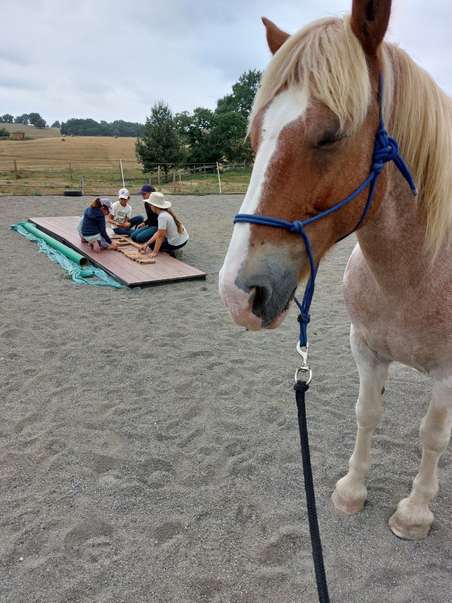 WEEK-END BIEN-ÊTRE ET NATURE AVEC LES CHEVAUX