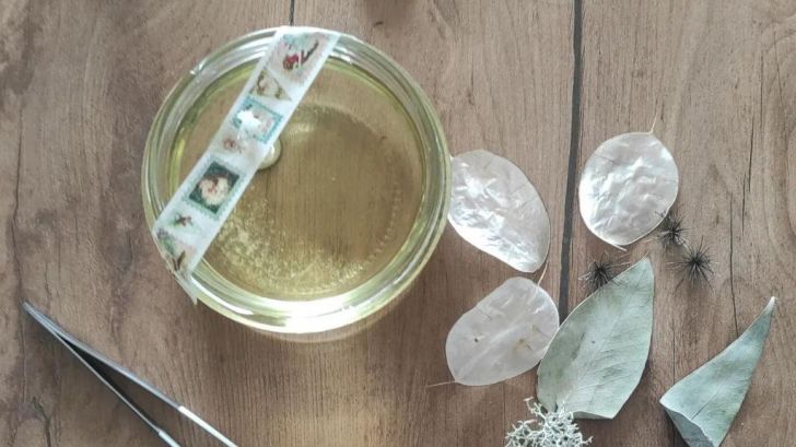 ATELIER CRÉATION DE BOUGIES AVEC DES FLEURS SÉ ...