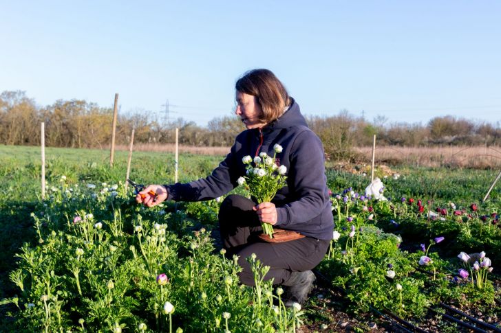 EXPOSITION FLEURS DE SAISON