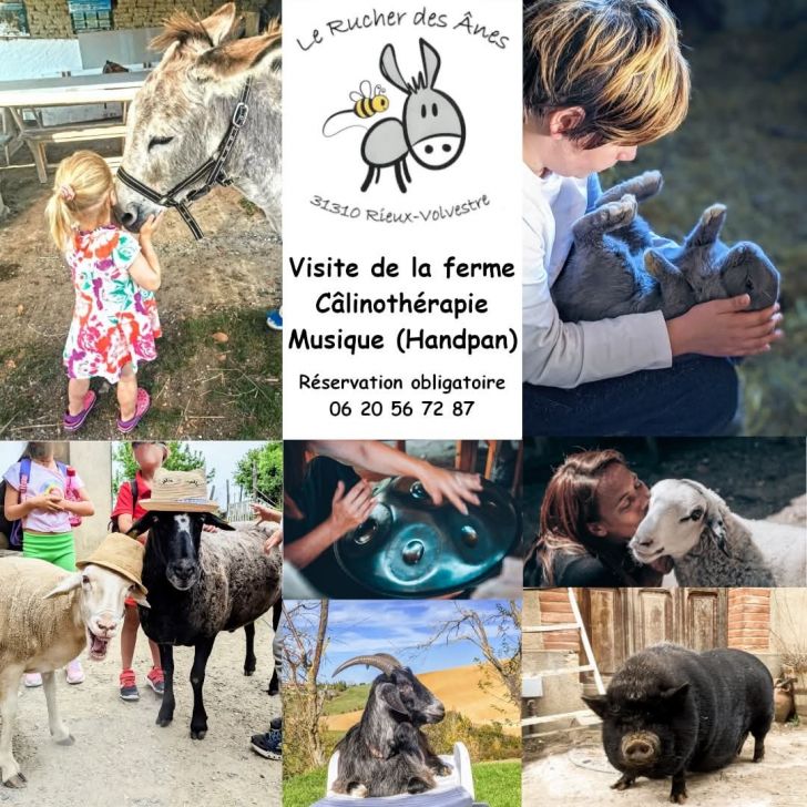VISITE DE LA FERME PÉDAGOGIQUE