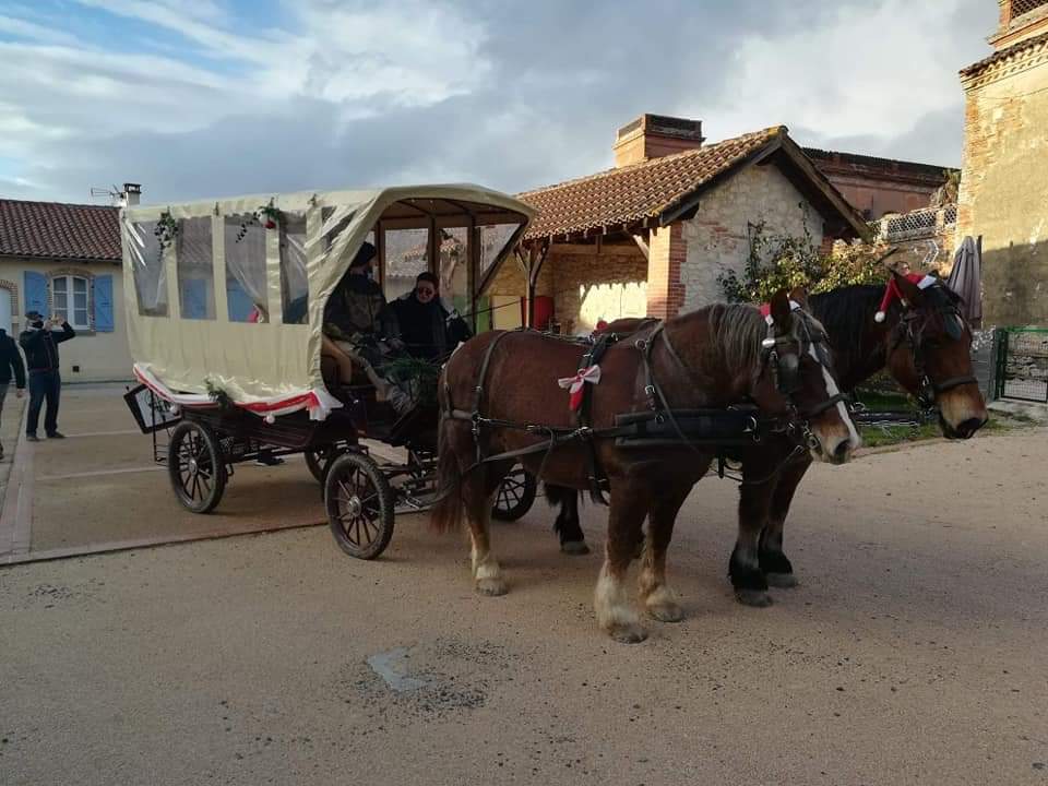 BALADE EN CALÈCHE