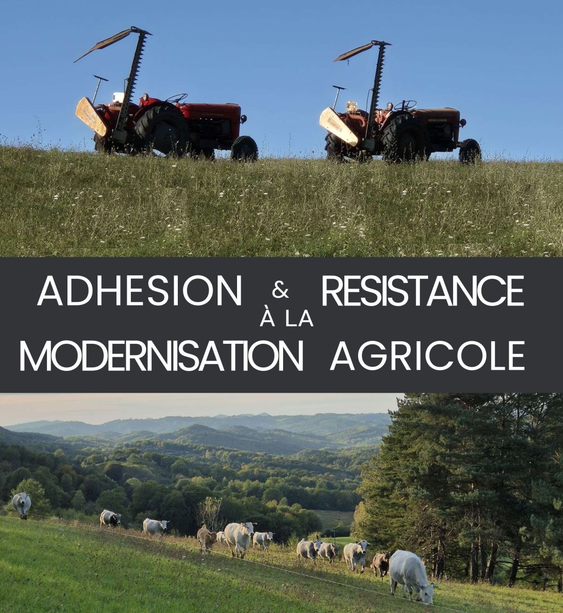 FESTIVAL PASSA-PÒRTS : CINÉ-RENCONTRE SUR L'ÉV ...