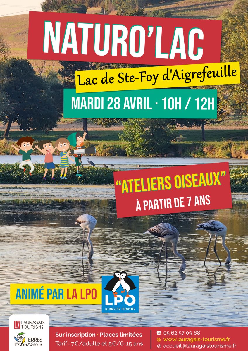 NATURO'LAC "SPÉCIAL OISEAUX"