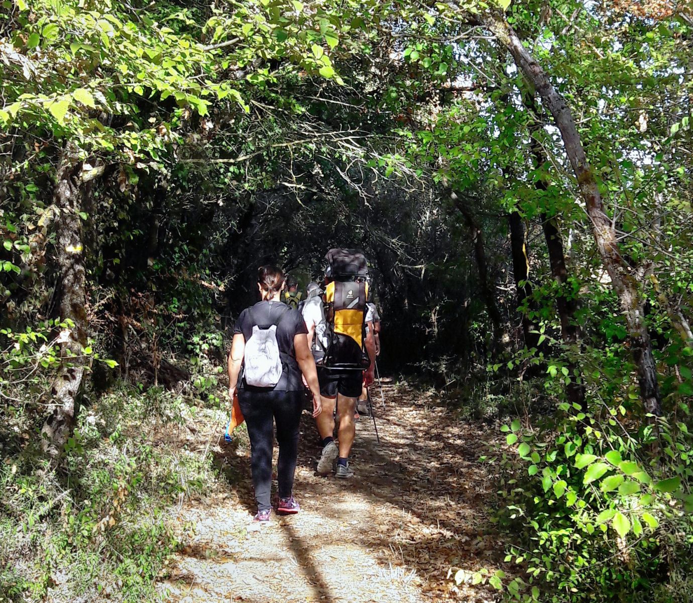 RANDONNEE NATURE SPECIALE PLANTES SAUVAGES