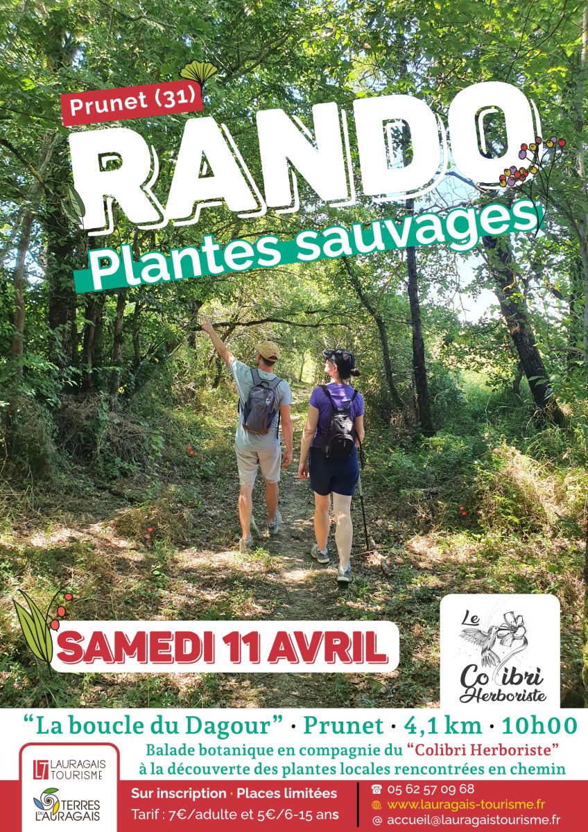 RANDONNEE SPECIALE PLANTES SAUVAGES