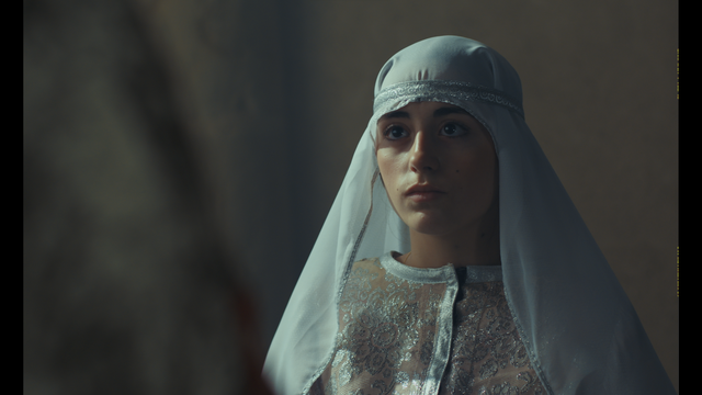 CINÉ-RENCONTRE : LA COMTESSE AUX 5 MARIS