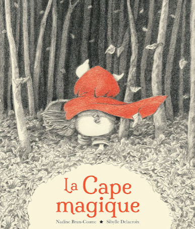 RENCONTRE AVEC L'AUTRICE SIBYLLE DELACROIX - P ...