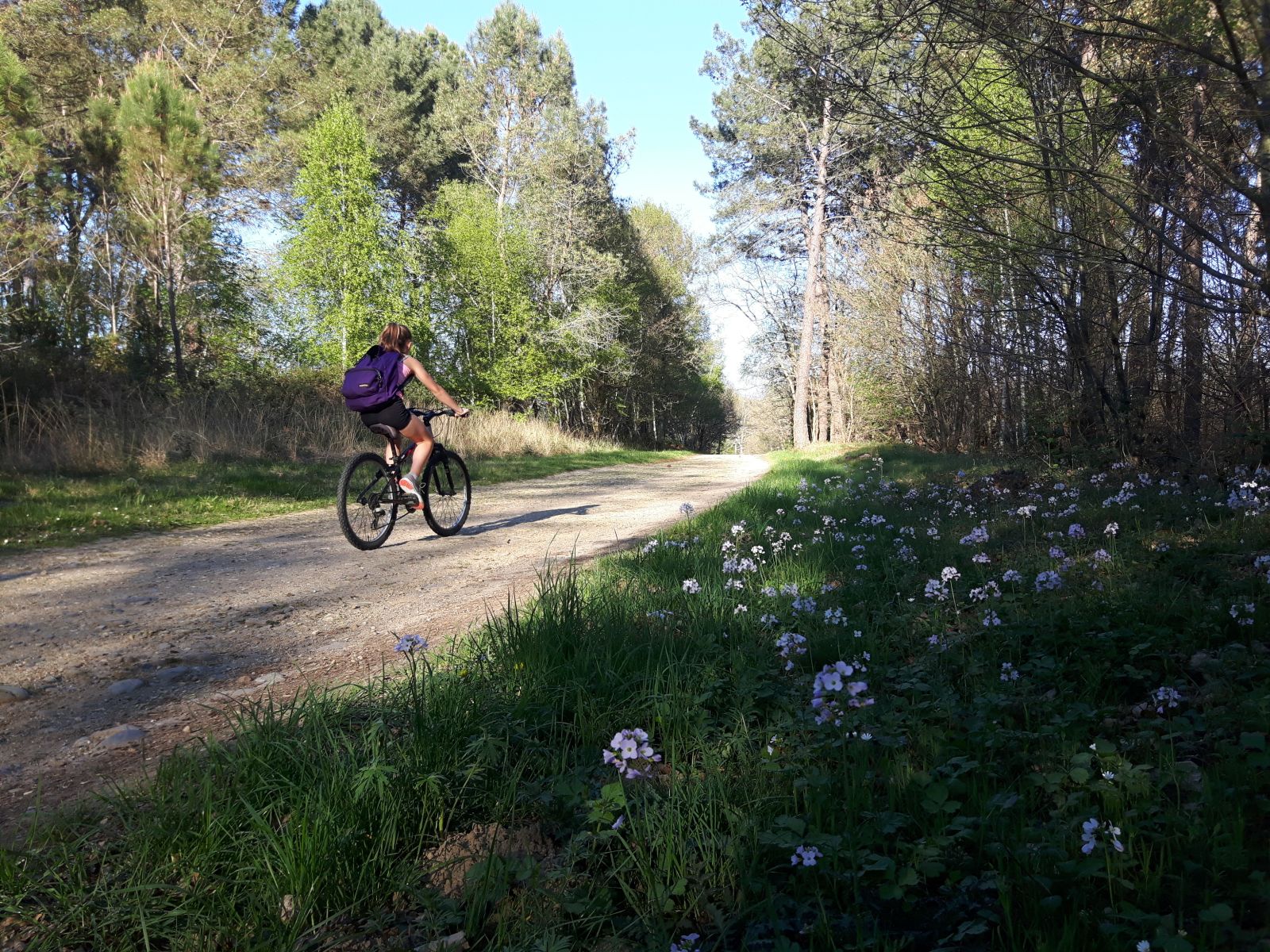 RANDO VELO DECOUVERTE