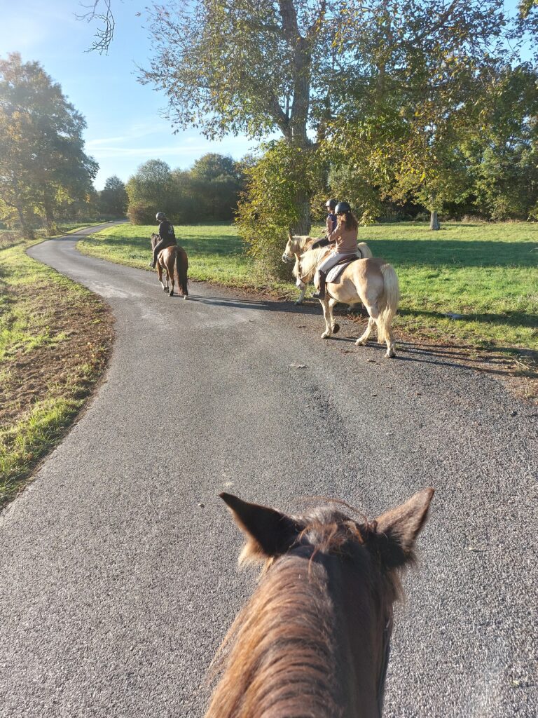 JOURNEE « A CHEVAL EN NATURE ! »