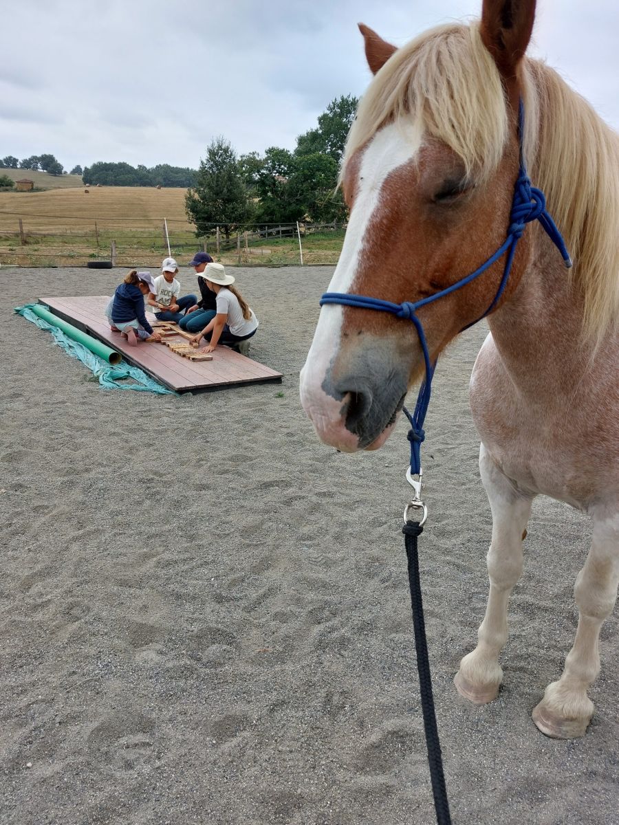 STAGES MENSUELS EQUIYOGA LU-JONG DES 5 ELEMENTS