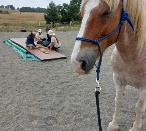 STAGES MENSUELS EQUIYOGA LU-JONG DES 5 ELEMENTS