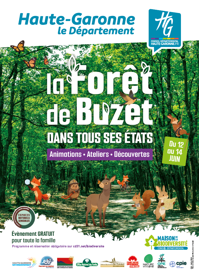 LA FORET DE BUZET DANS TOUS SES ETATS