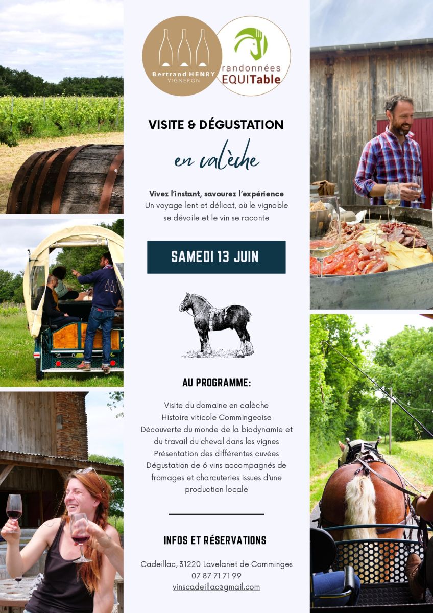 VISITE ET DÉGUSTATION EN CALÈCHE AU DOMAINE CA ...
