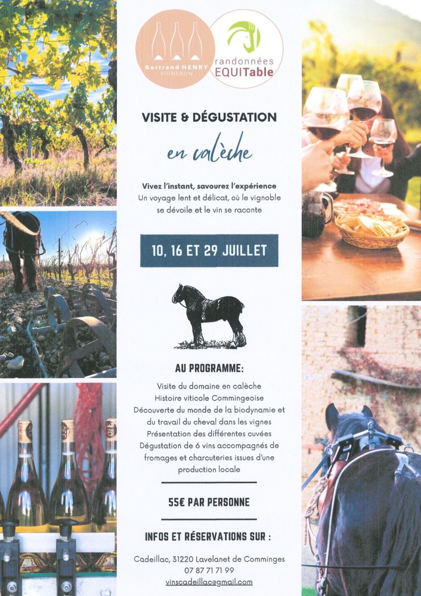 VISITE ET DÉGUSTATION EN CALÈCHE