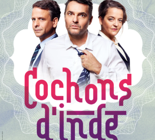 COCHON D'INDE