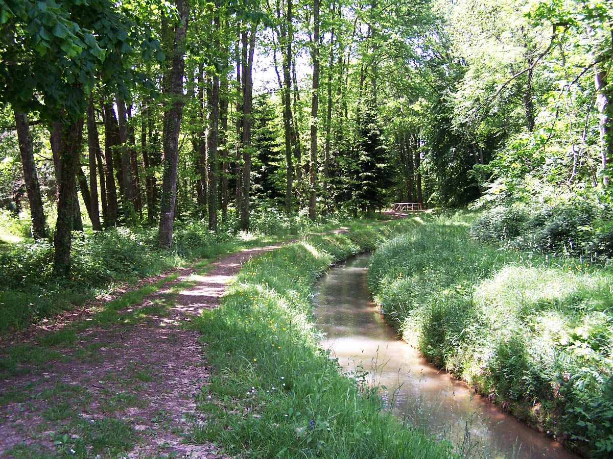 LECTURE DE PAYSAGE AMBULATOIRE