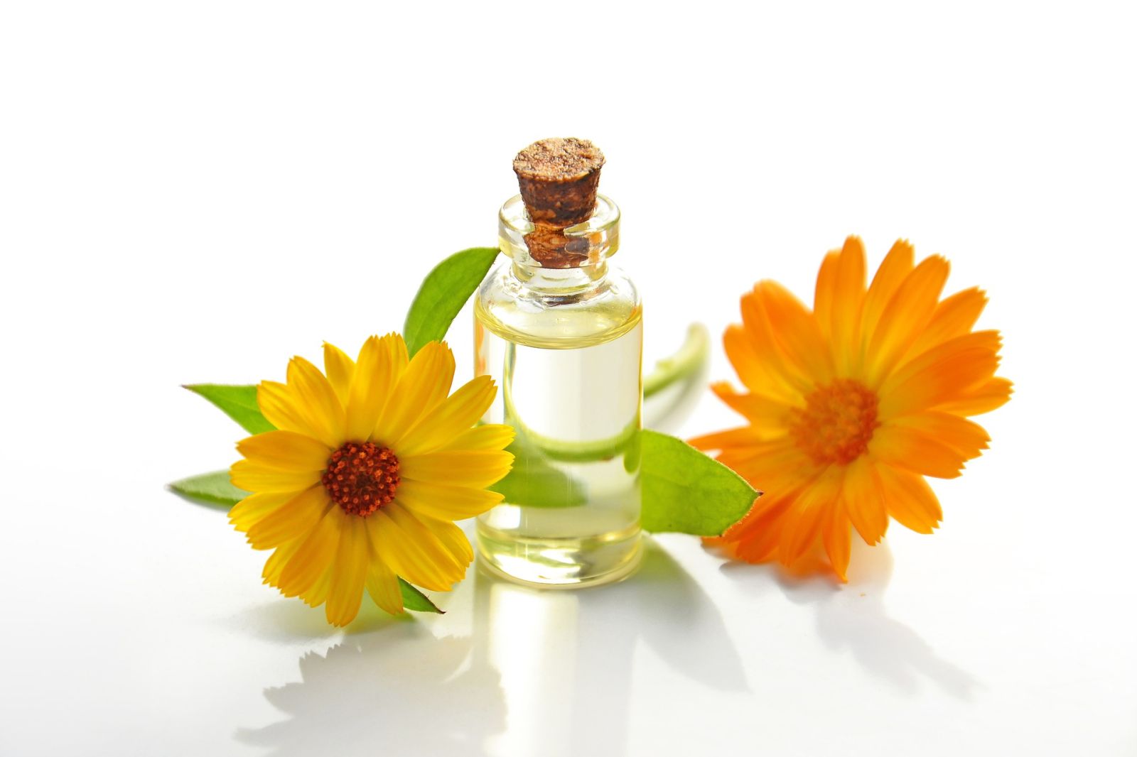 ATELIER FABRICATION DE COSMÉTIQUES NATURELS