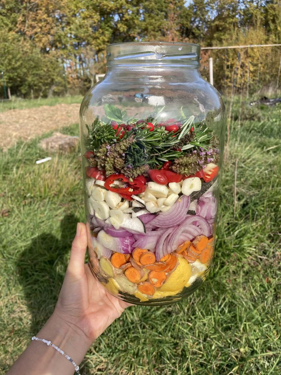 ATELIER KOMBUCHA, KÉFIR, BOISSONS FERMENTÉES...
