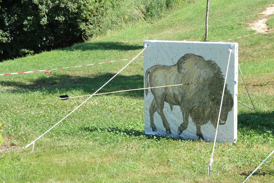 ANIMATION TIR AU PROPULSEUR