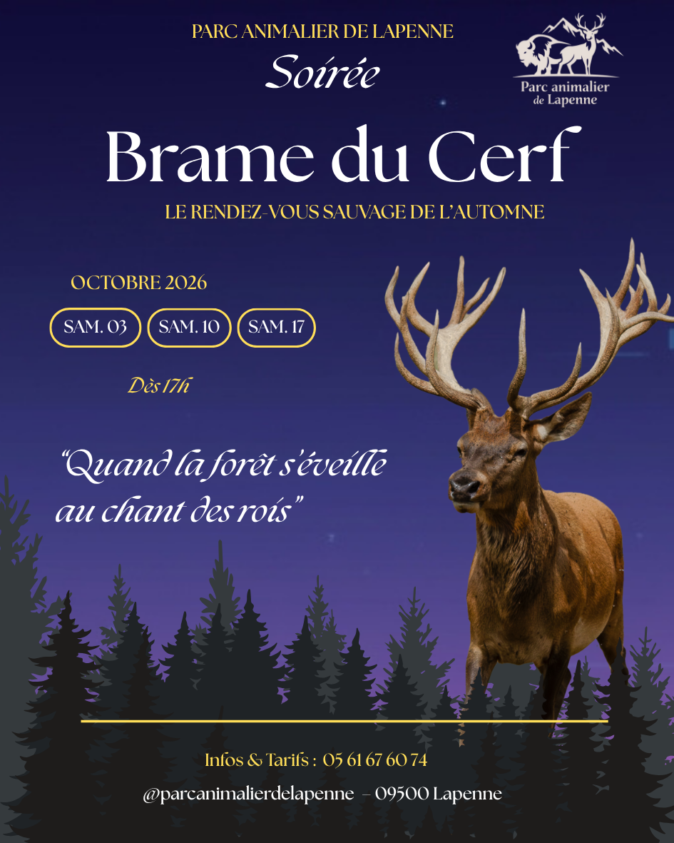 Soirées Brame du Cerf ...