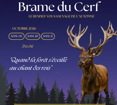 Soirées Brame du Cerf - Le rendez-vous sauvage de l'automne