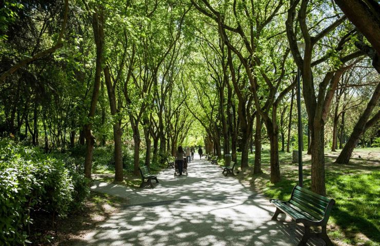 Jardin Compan Caffarelli