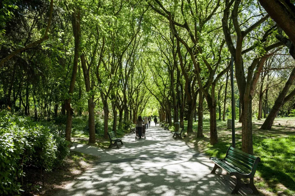 Jardin Compan Caffarelli