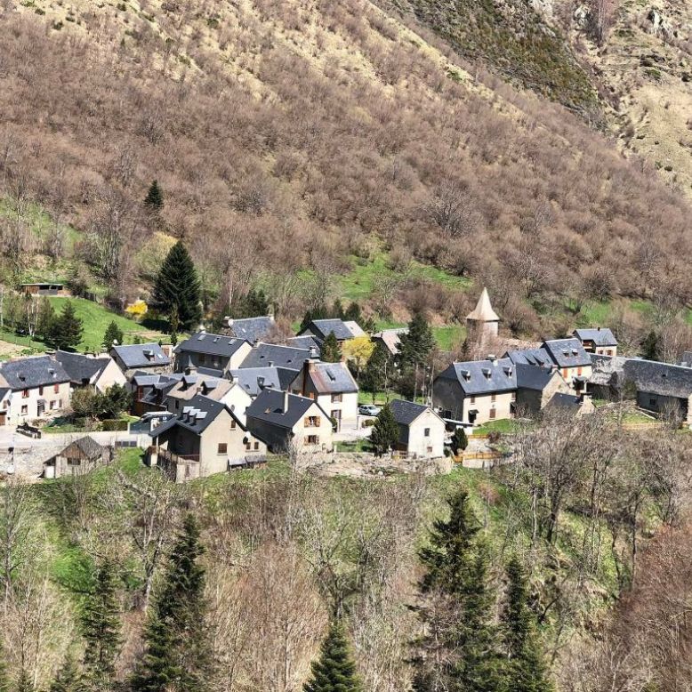 Aragnouet