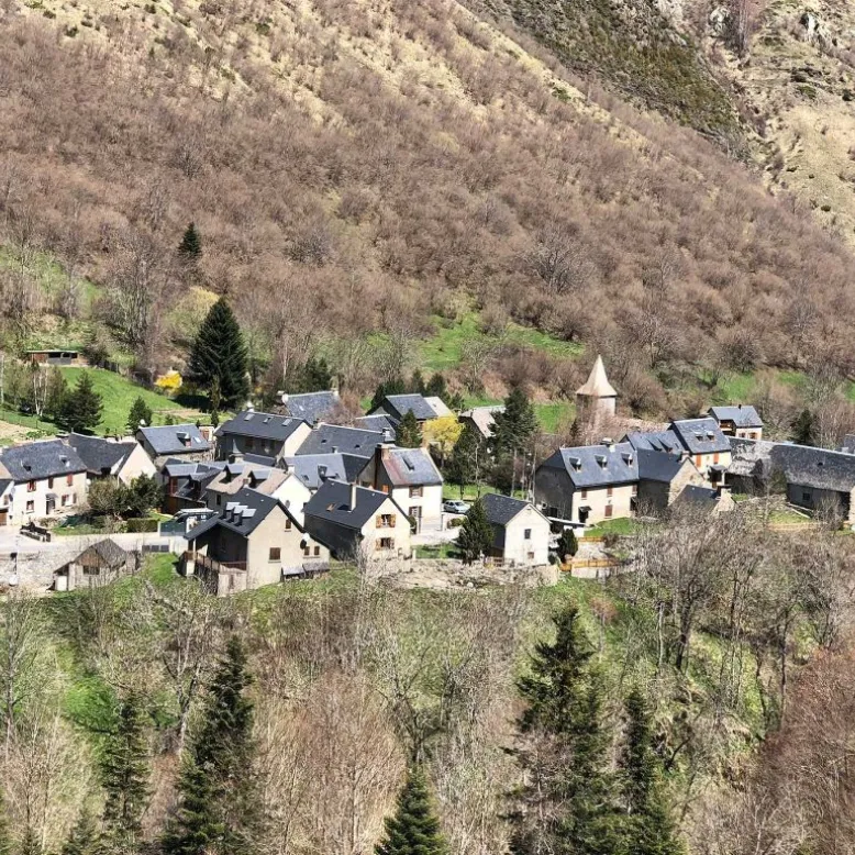 Aragnouet