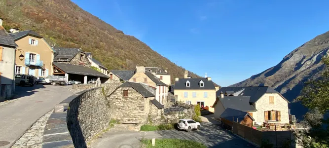 Viscos